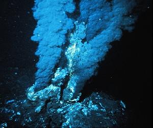 'Lost world' discovered around Antarctic vents
