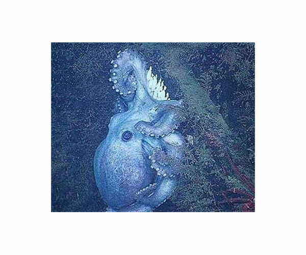 Fossil Evidence Points to Giant Apex-Predator Octopuses in Cretaceous Seas
