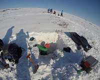 Arctic greening thaws permafrost, boosts runoff
