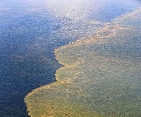 International experts deployed for Sri Lanka oil spill