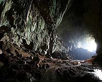 Cave Records Provide Clues To Climate Change
