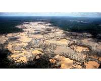 Gold mining stunts Amazon rainforest recovery