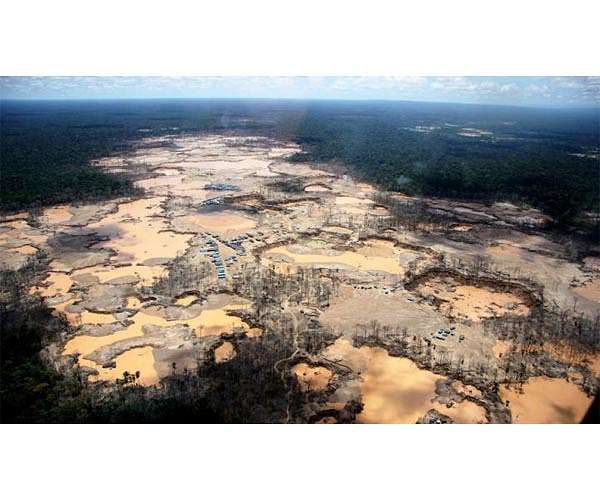 Environmental groups, big ag unite for Amazon in Brazil