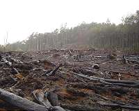 Australia PM vows to outlaw 'apocalyptic' climate activism