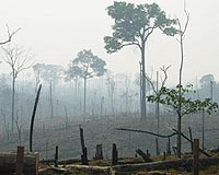 Climate change could cost Brazil 2 billion dollars: study