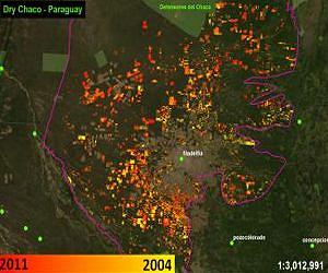 Scientists develop first satellite deforestation tracker for whole of Latin America