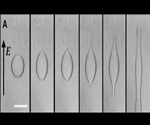 Droplet response to electric voltage in solids exposed