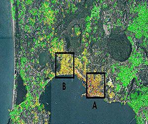 Identifying Alzheimer's using space software