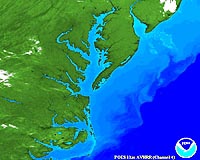 Tracking Poultry Litter Phosphorus: Threat Of Accumulation