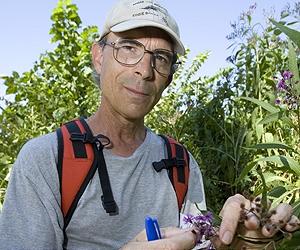 Budding Research Links Climate Change And Earlier Flowering