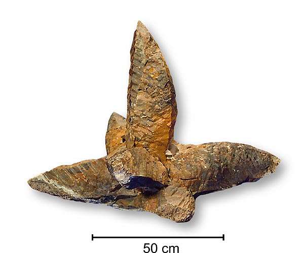 Volcanic eruptions may explain Denmark's giant mystery crystals