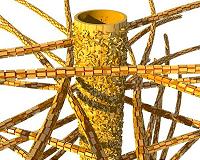 Dentin nanostructures - a super-natural phenomenon