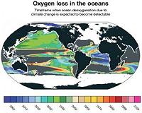 Marine life under threat from plummeting oxygen levels