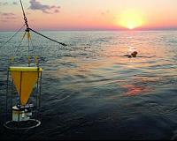 Examining the fate of Fukushima contaminants