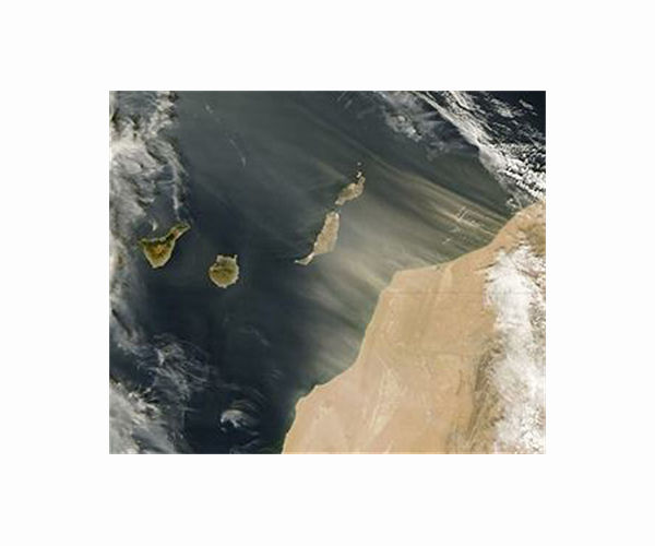 New fissure opens in Canary Islands volcano