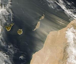 Actor Bardem's mother protests Canaries oil-drilling