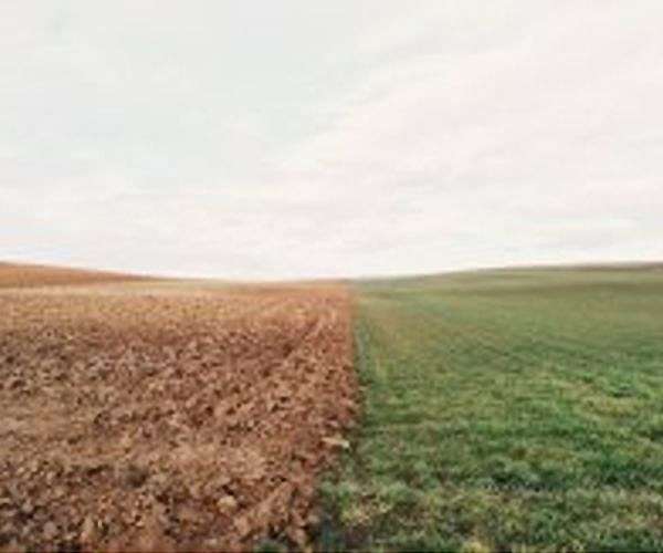 We could sequester CO2 by re-greening arid lands, plant scientists say