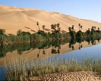 Struggling Morocco oasis risks becoming mirage
