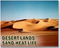 Greening at high latitudes may inhibit the expansion of midlatitude deserts