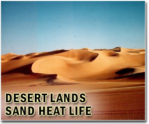 World needs to do more against desertification: Algeria