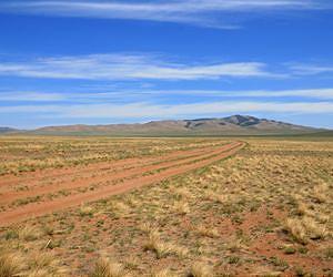 How vegetation competes for rainfall in dry regions