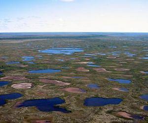 Subarctic lakes are drying up at a rate not seen in 200 years