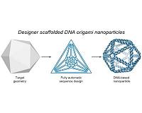 Top-down design brings new DNA structures to life