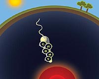 Bold Traveler's Journey Toward The Center Of The Earth