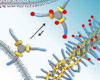 Adhesive behavior of self-constructive materials measured for first time