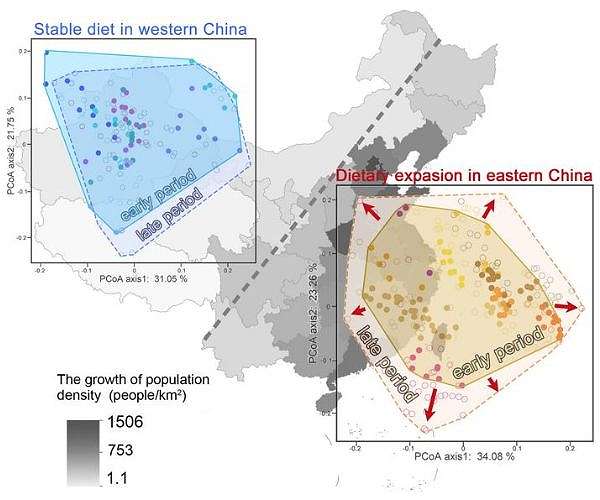 Study reveals dietary adaptation of large herbivores to human impact in Anthropocene