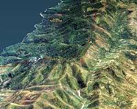 PlanetWatchers Launches Foresights Analytics Platform to Advance Commercial Forestry