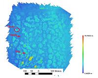 Drones take off in plant ecological research