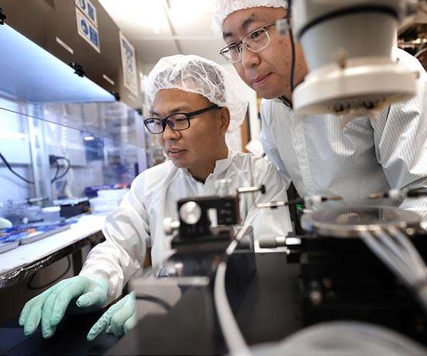 Nanoscale ferroelectric semiconductor could power AI and post-Moore's Law computing on a phone