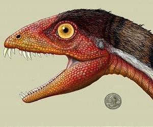 Scientists Bridge A Gap With New Species Of Dinosaur