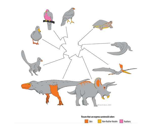 Dinosaur faces and feet may have popped with color