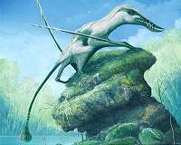 Spectacular flying reptiles soared over Britain's tropical Jurassic past