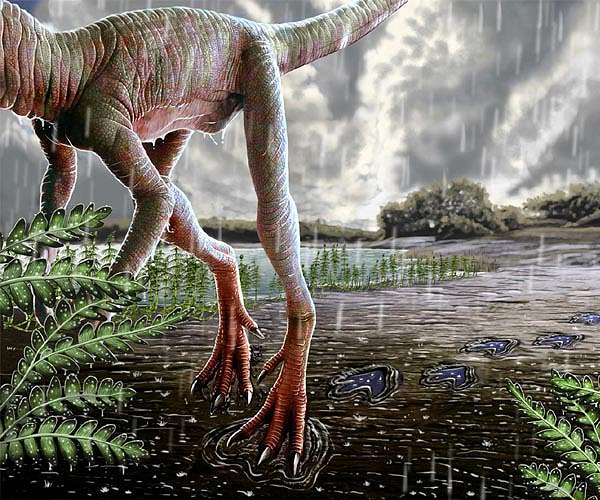 'Well-preserved' dinosaur fossil revealed by Brazilian flood
