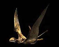 Study: Pterosaurs used 4 legs to lift off
