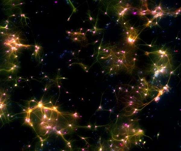 Tiny, wireless antennas use light to monitor cellular communication