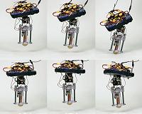 Scientists unveil first tetherless hopping robot