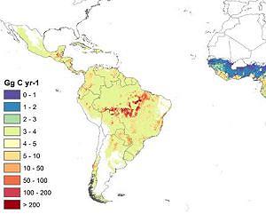 Study Slashes Deforestation Carbon Emission Estimate