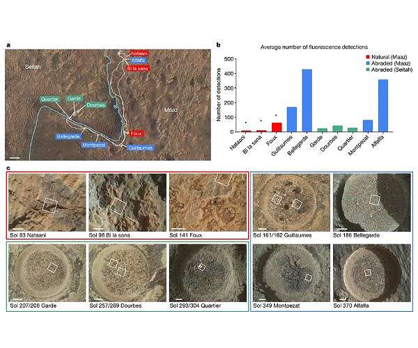 New study reveals evidence of diverse organic material on Mars