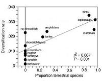 Land animals proliferate faster than aquatic counterparts