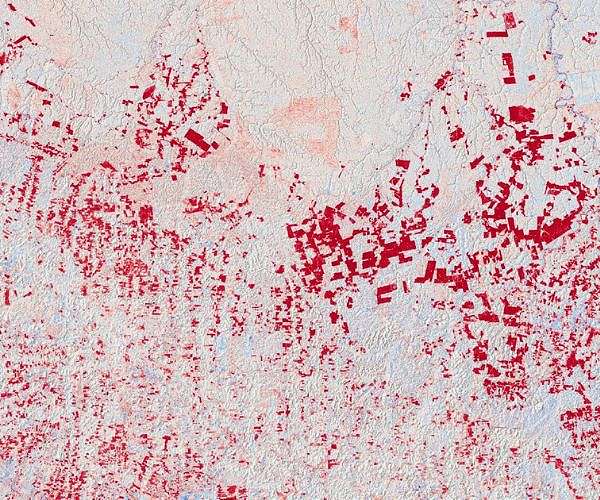 Amazon deforestation drives hotter drier regional climate
