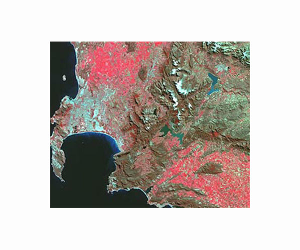 Alert system shows potential for reducing deforestation, mitigating climate change