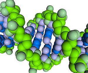 Turning Off the Aging Genes