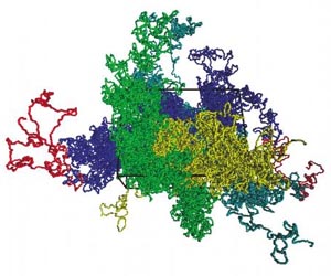 25 years of DNA on the computer