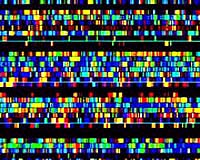 Genetic Ancestral Testing Cannot Deliver On Its Promise