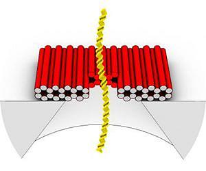 DNA origami puts a smart lid on solid-state nanopore sensors