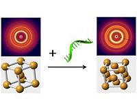 Engineering phase changes in nanoparticle arrays